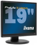 LCD  19 iiyama B1906S-B1