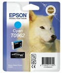    ( ) Epson T0962